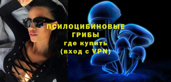 индика Белоозёрский