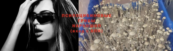 МДМА Белокуриха