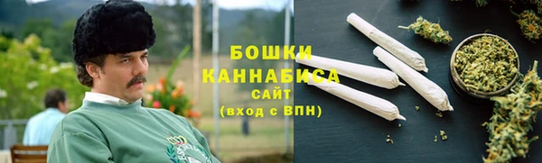 индика Белоозёрский