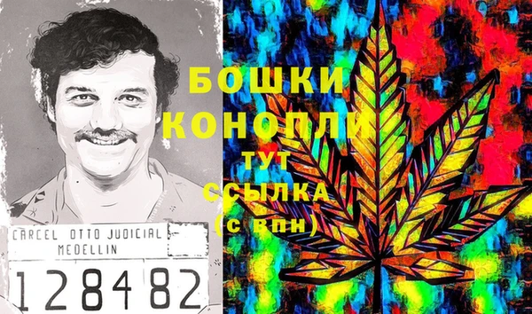МДМА Белокуриха