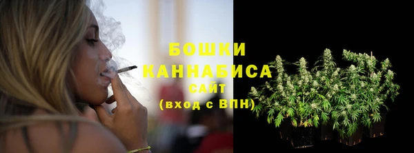 индика Белоозёрский