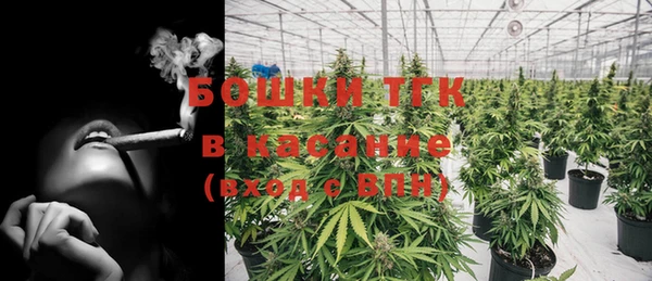 индика Белоозёрский