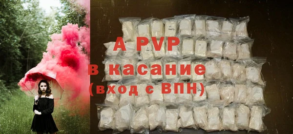 индика Белоозёрский