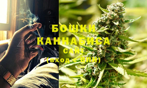 индика Белоозёрский